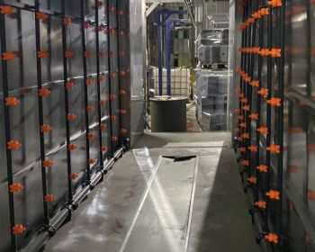 WhatsApp-Image-2024-11-12-at-14.26.33-2