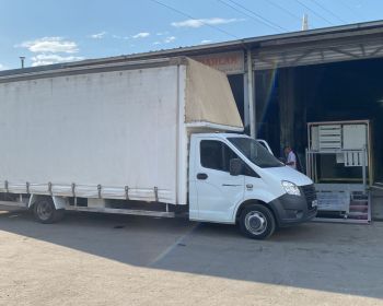 WhatsApp-Image-2024-11-12-at-14.26.33-3